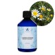 Roman Chamomile Organic